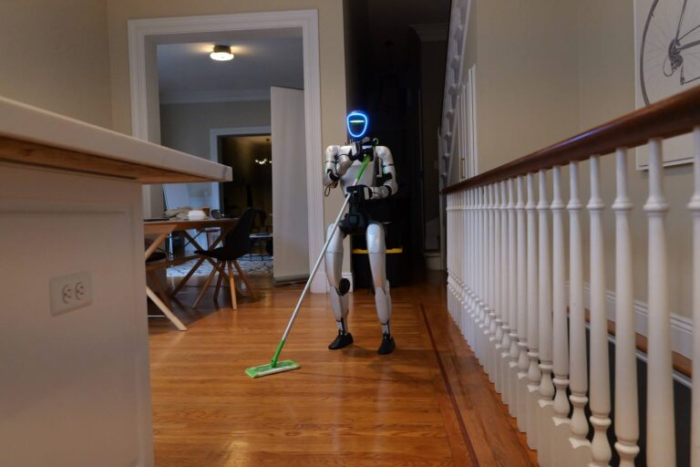 Gatsby putzt deine Wohnung für 150 Dollar, und der Roboter gehört dir nicht